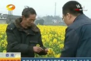 双峰举办油菜花文化旅游节 “油农”油水足