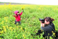 “秒杀”公园 河滩油菜花魅力挡不住