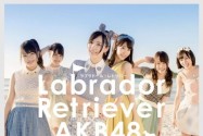 [视频]AKB48泳装MV《Labrador Retriever》（图）