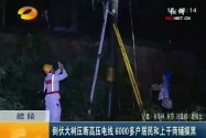 醴陵：倒伏大树压断高压电线 6000多户居民和上千商铺摸黑