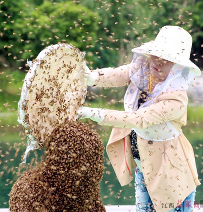 [视频]江西宜春：男子身体裹满蜜蜂53分钟 创世界纪录 