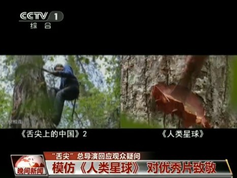 [视频]《舌尖》总导演正面回应观众疑问