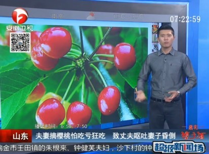 [视频]夫妻摘樱桃怕吃亏狂吃 1人呕吐1人晕倒