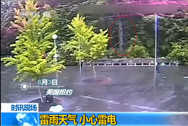 [视频]惊悚！实拍闪电击中汽车劈碎大树瞬间