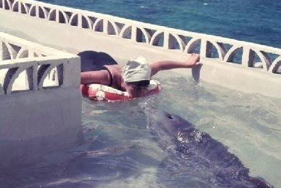 [视频]50年前英秘密实验 女孩教海豚说话被爱上