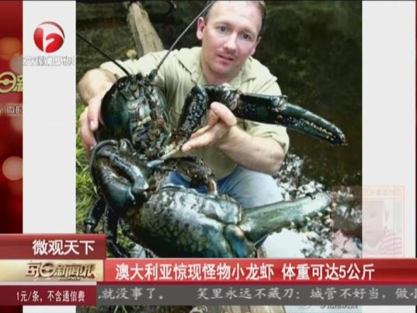 [视频]澳大利亚现怪物小龙虾 体重可达5公斤
