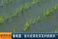 看韩国：首尔近郊无穷花村的新农“道”