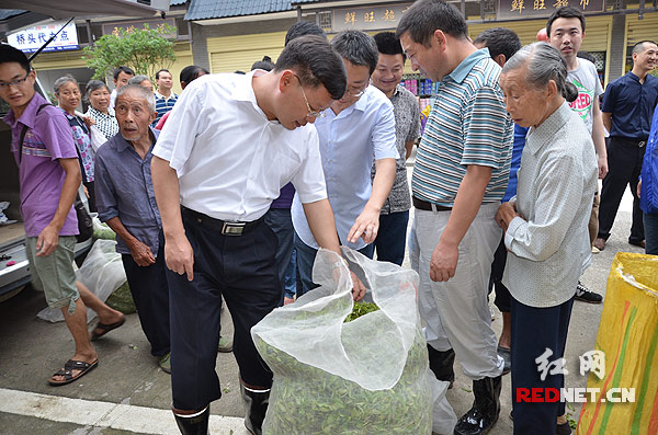 《书记去哪儿》桂东篇 谭建上茶山“深呼吸”