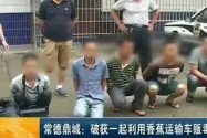常德鼎城：破获一起利用香蕉运输车贩毒案