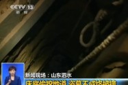 [视频]民房半夜传怪声 民警现场查出盗墓洞