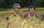 官兵帮老百姓割稻子