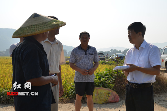 7月21日，桃江县沾溪镇沾溪村。谭建华（右）正向几位村民询问洪水影响的收成有多大，需要政府“搭把手”吗？