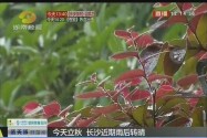 今天立秋 长沙近期雨后转晴