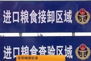 进口粮食指定口岸通过国家验收 年内实现粮食常规进口