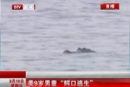 [视频]美国一9岁男童“鳄口逃生”