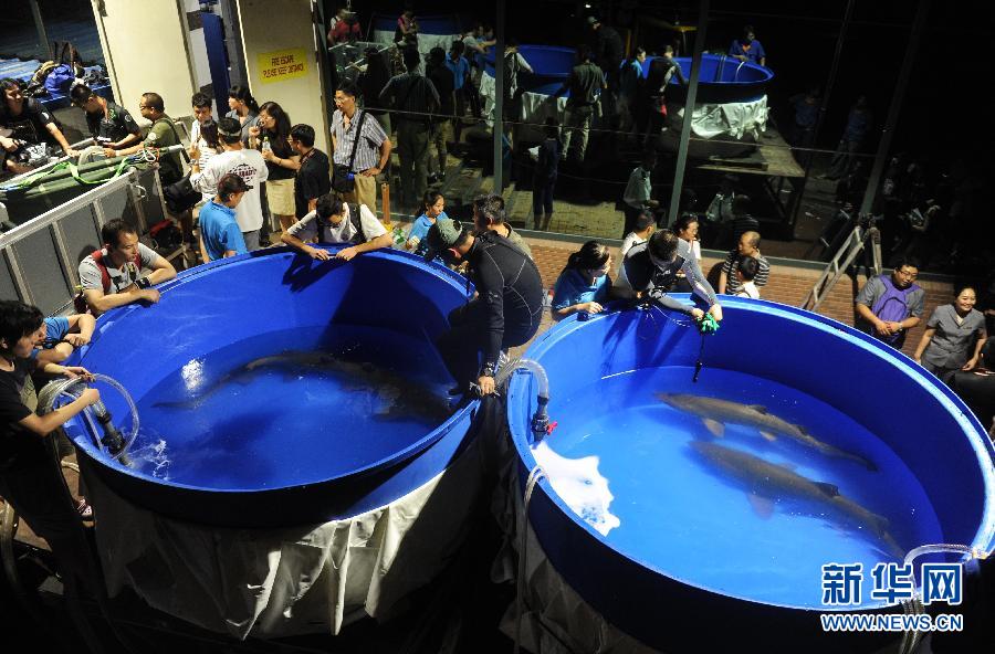 [视频]北京：“海洋杀手”入驻 先行隔离检疫