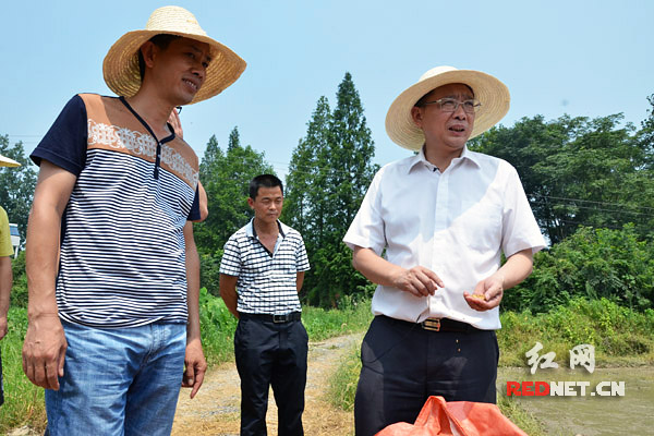 《书记去哪儿》桃源篇 龚德汉为堤垸开“药方”