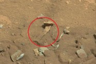 [视频]NASA辟谣火星上有外星生物骨头 系石头