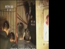 [视频]江西高安“病死猪肉事件”追踪：8名官员被免职