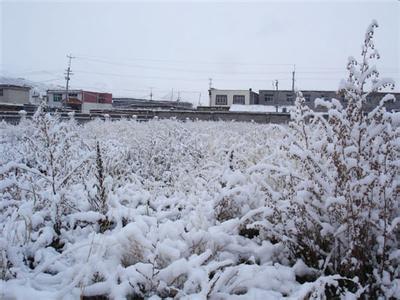 [视频]青海南部现零下45.9℃罕见低温