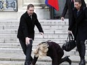 [视频]丹麦美女首相爱舍丽宫台阶摔倒 瞬间爬起