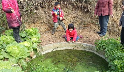 [视频]六岁女童拉住掉入水坑小伙伴 坚持半小时
