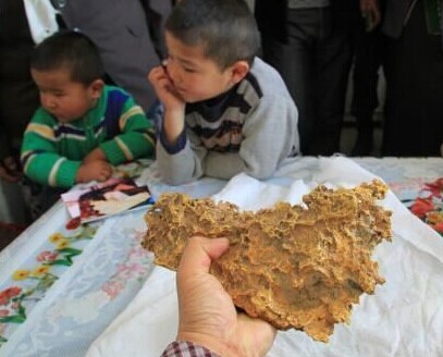 [视频]新疆牧民捡到7.85公斤狗头金 形似中国地图