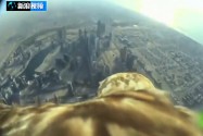 [视频]实拍老鹰身背摄像机俯拍迪拜壮丽美景