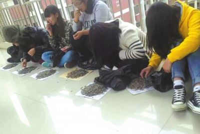 [视频合辑]这些年，风靡网络的奇葩老师们