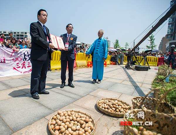 黔阳古城“三月三”女儿节开幕 世界最大锅地荠蛋亮相