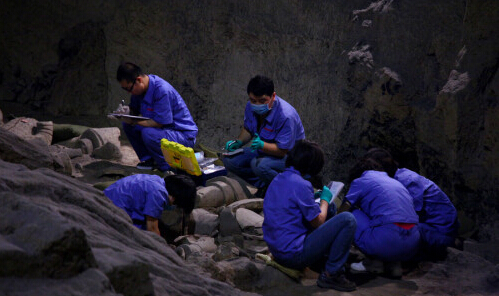 [视频]秦兵马俑二号坑开始二次挖掘 内有多兵种混合军阵