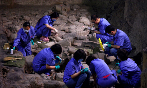 [视频]秦兵马俑二号坑开始二次挖掘 内有多兵种混合军阵