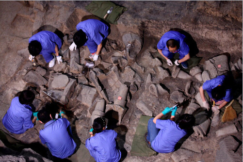 [视频]秦兵马俑二号坑开始二次挖掘 内有多兵种混合军阵