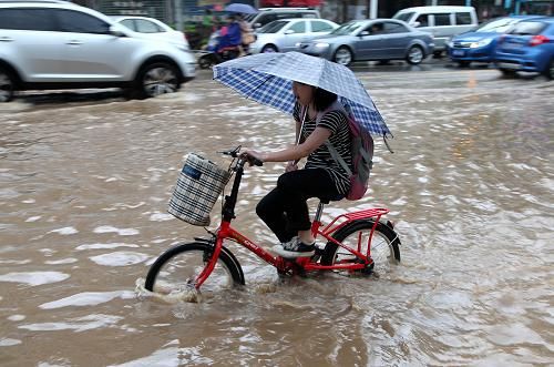 [视频]南方多地持续遭降雨侵袭