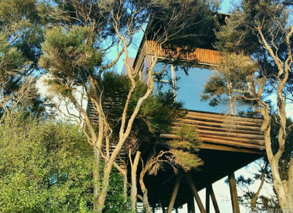 [视频]黄磊孙莉新西兰度蜜月 小女儿正面首次曝光