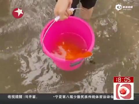 [视频]复旦校园遭大雨淹成泽国  学生出门持捅捞鱼