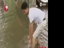 [视频]复旦校园遭大雨淹