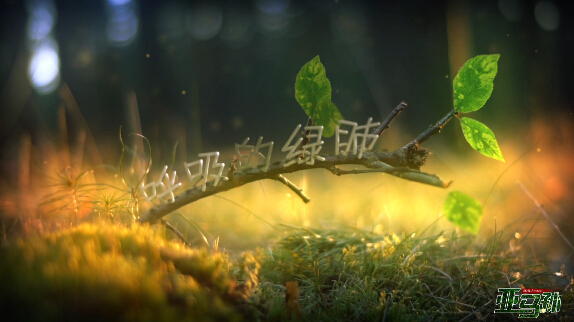 [视频]呼吸的绿肺