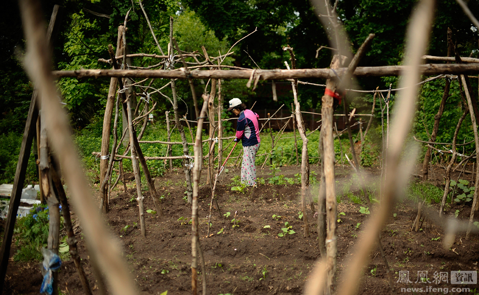 [视频]中国留学生家长在耶鲁大学种菜 使荒地变菜园