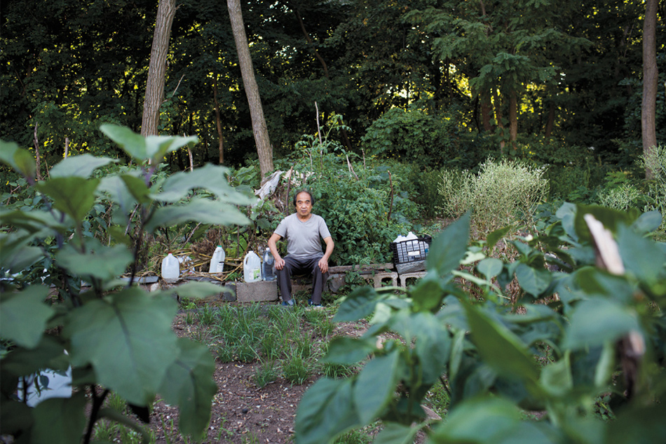 [视频]中国留学生家长在耶鲁大学种菜 使荒地变菜园
