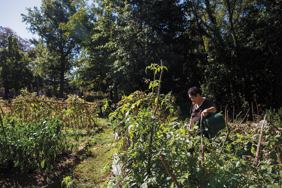 [视频]中国留学生家长在耶鲁大学种菜 使荒地变菜园