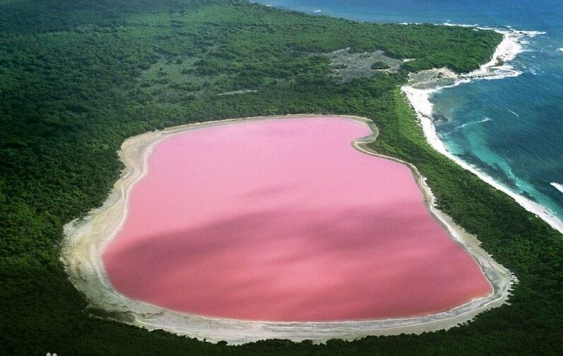 [视频]航拍澳大利亚梦幻般粉红色湖泊 艳若桃花