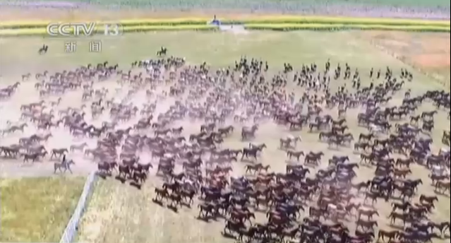 [视频]航拍天山万马奔腾呼啸 场面壮观震撼