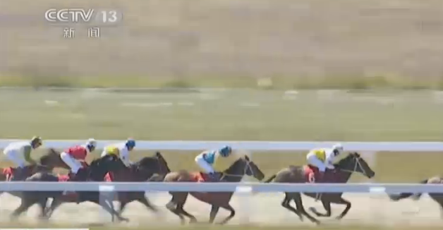 [视频]航拍天山万马奔腾呼啸 场面壮观震撼