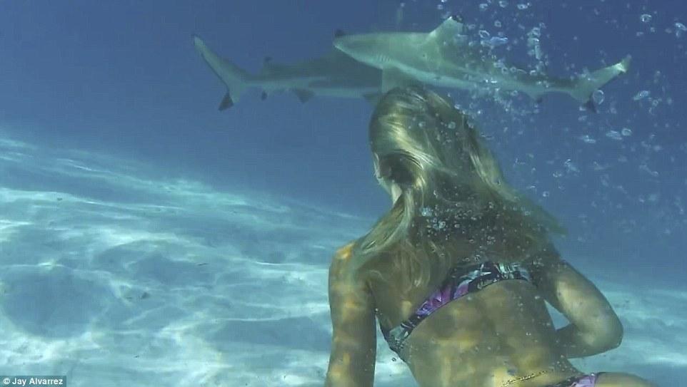 [视频]美国情侣环游世界 录童话般视频花式秀恩爱