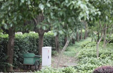 [视频]李连杰斥资上亿豪宅仍空置 后院成园丁菜园子