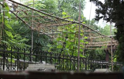 [视频]李连杰斥资上亿豪宅仍空置 后院成园丁菜园子