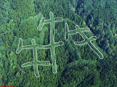 [视频]成都山区现神秘“犇”字形图案 原因成谜