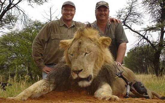 [视频]猎杀“狮王”的美国牙医终露面
