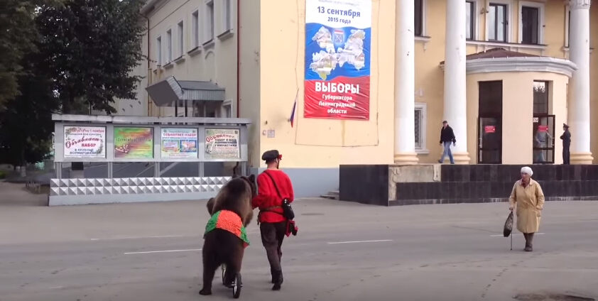 [视频]俄罗斯举行地方选举 选民带熊参加投票